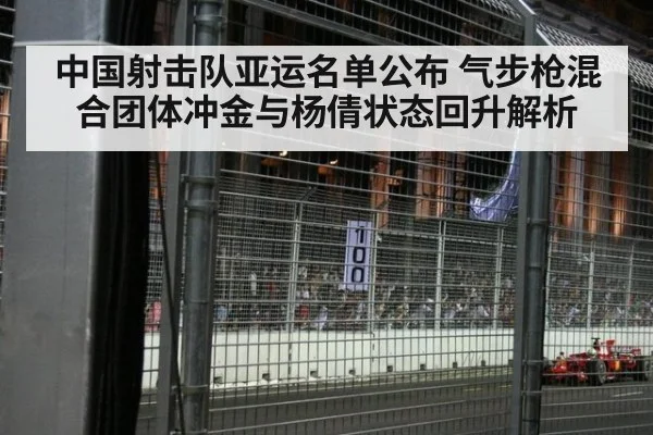 中国射击队亚运名单公布 气步枪混合团体冲金与杨倩状态回升解析